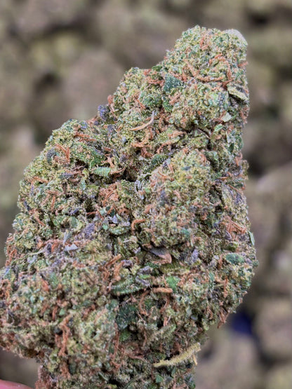 Biscotti - CBD Blüte