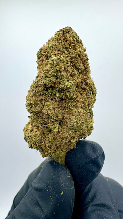 Cali Cheese - CBD Blüte