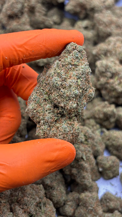 Yellow Blaze - CBD Blüte