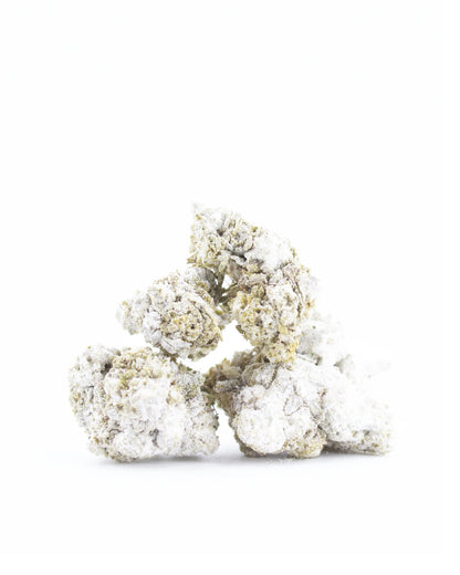 Alaska White