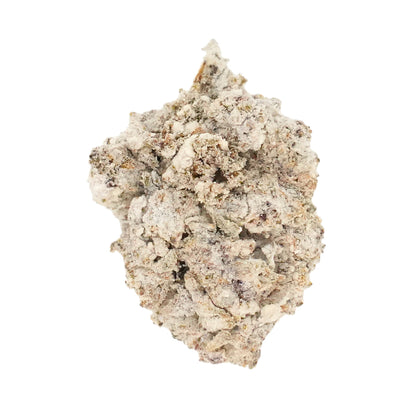 Alaska White