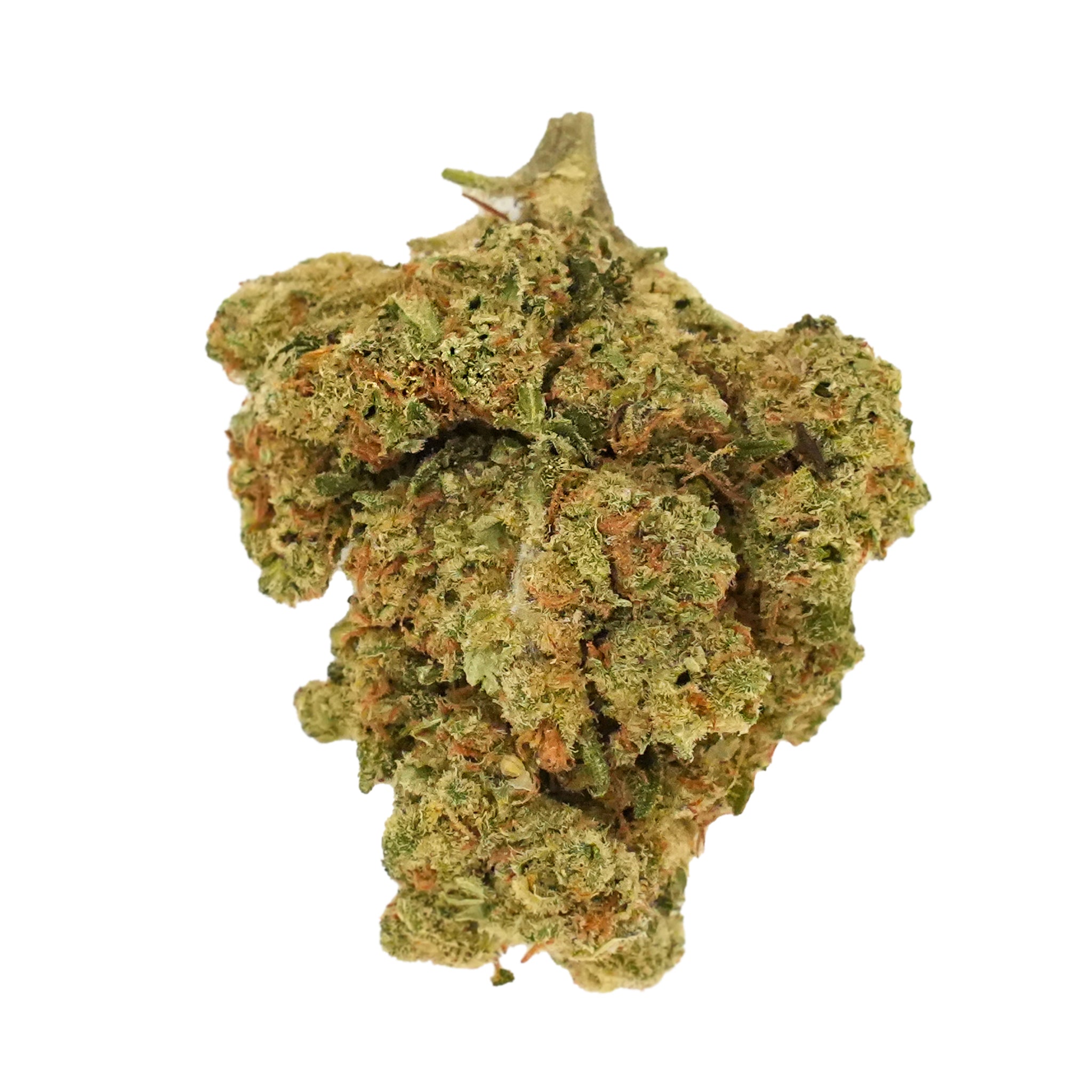 Blueberry