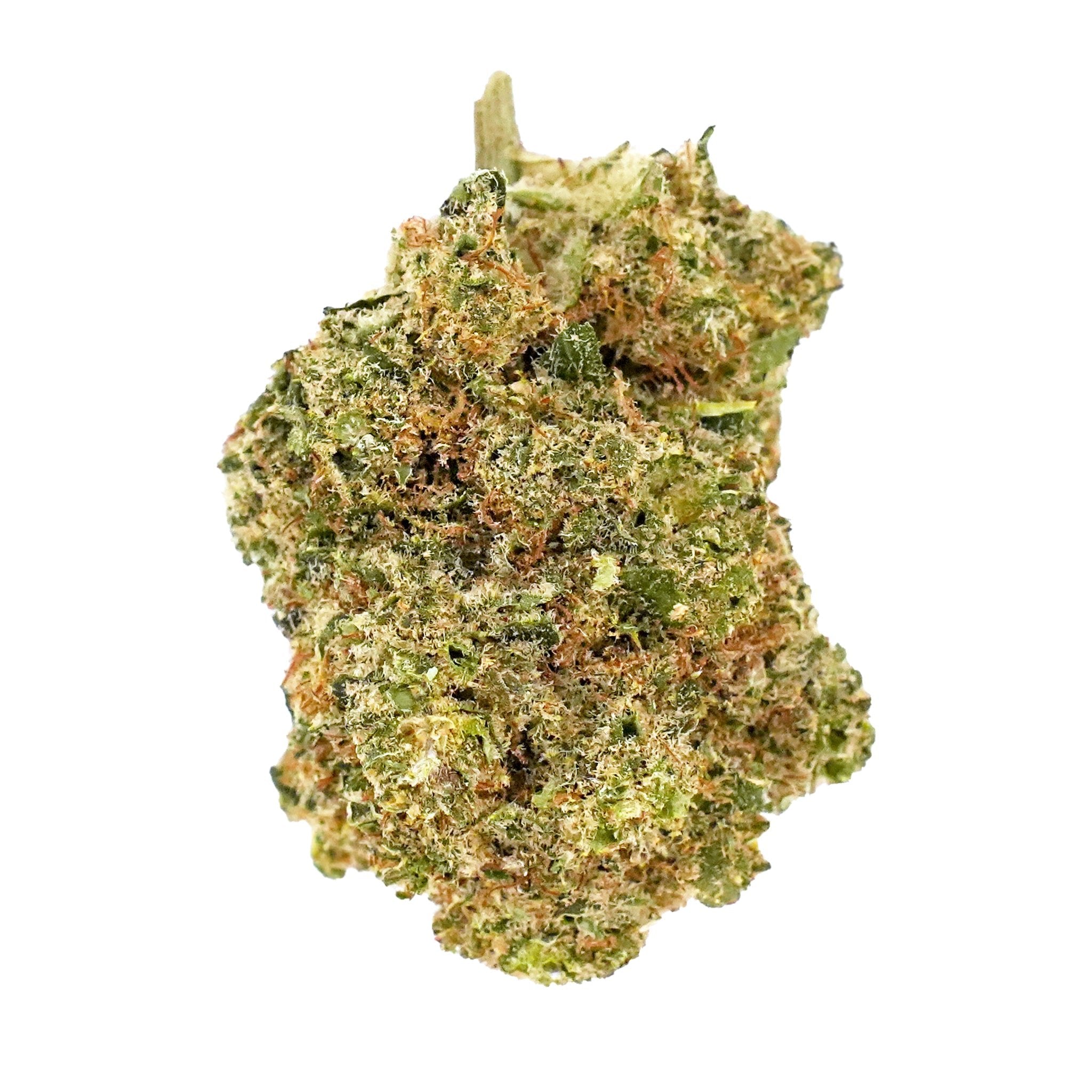 Tropical Mango